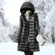 Arctic Shield Coat